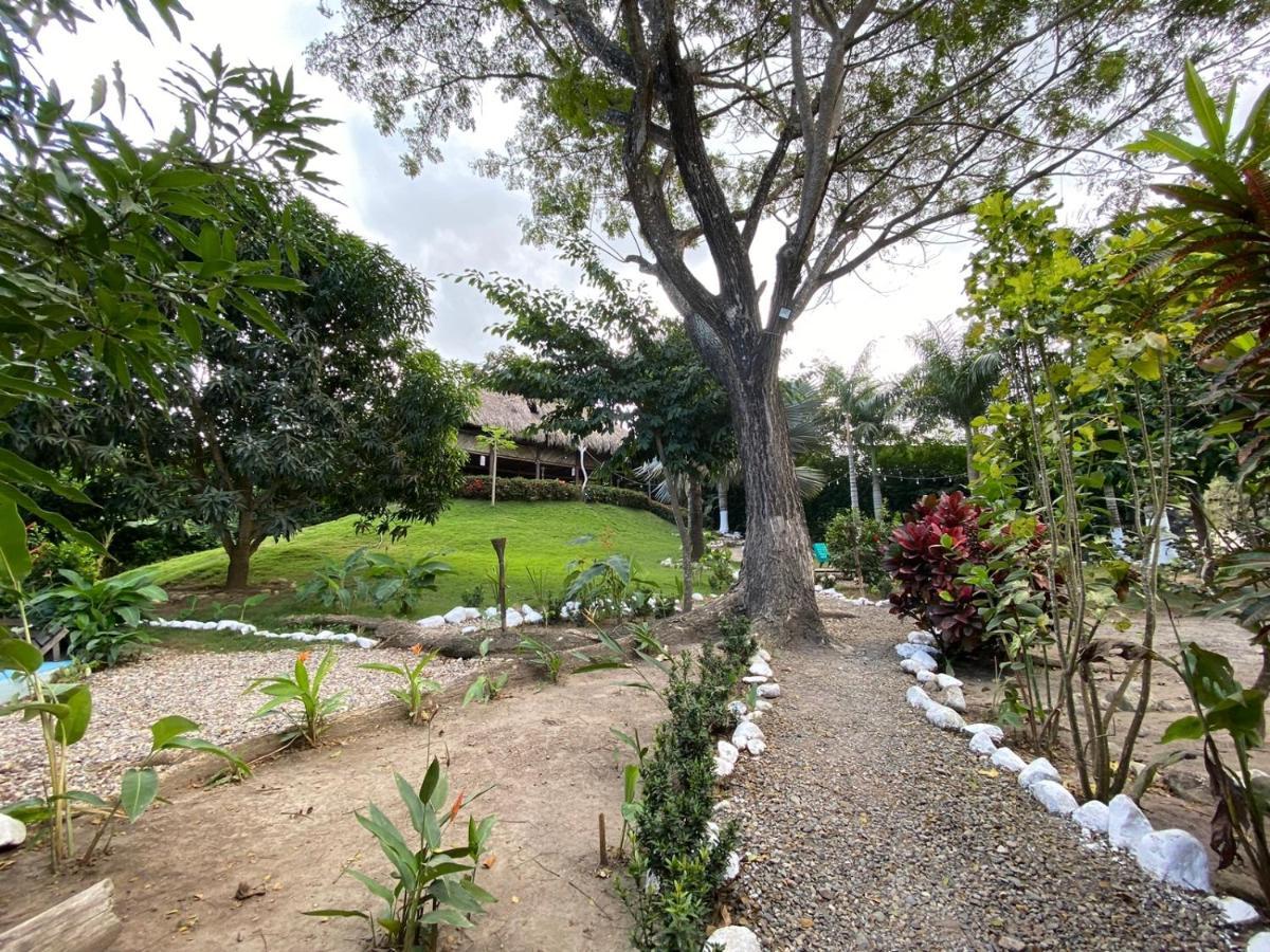 Bonita Hostel Palomino Exterior photo